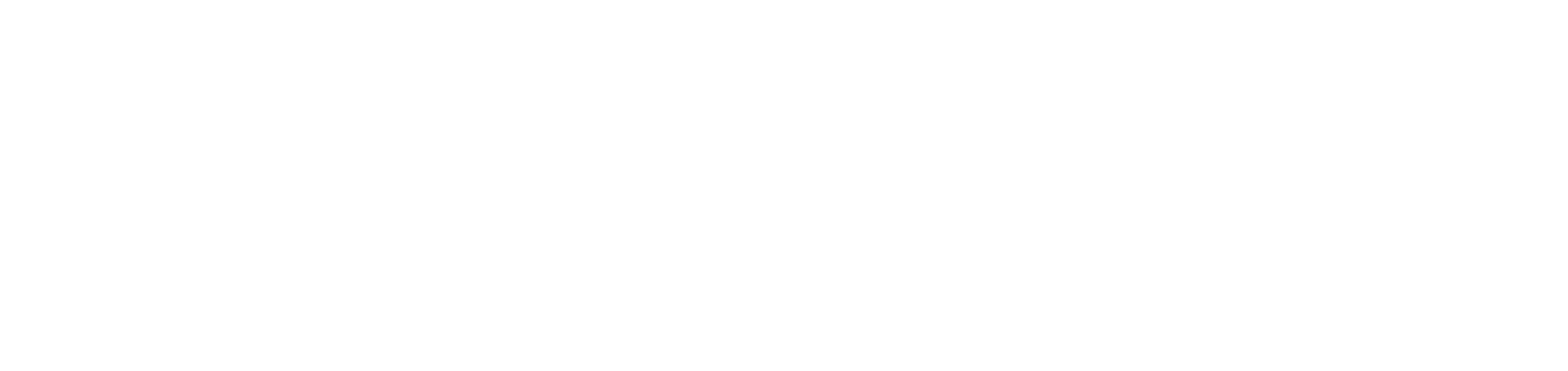 Investigador